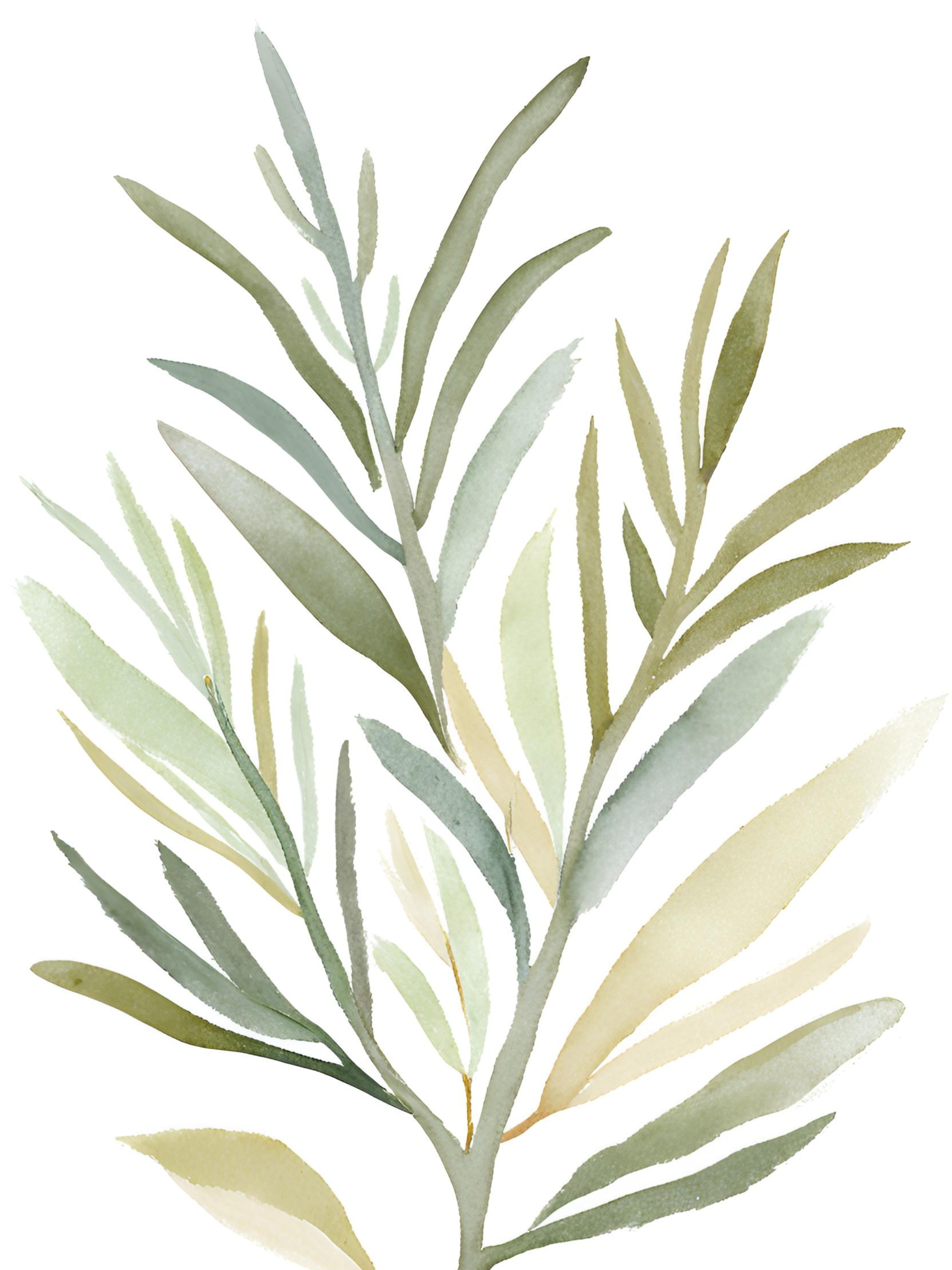 Olijf Elegantie Abstract Gefluisterd